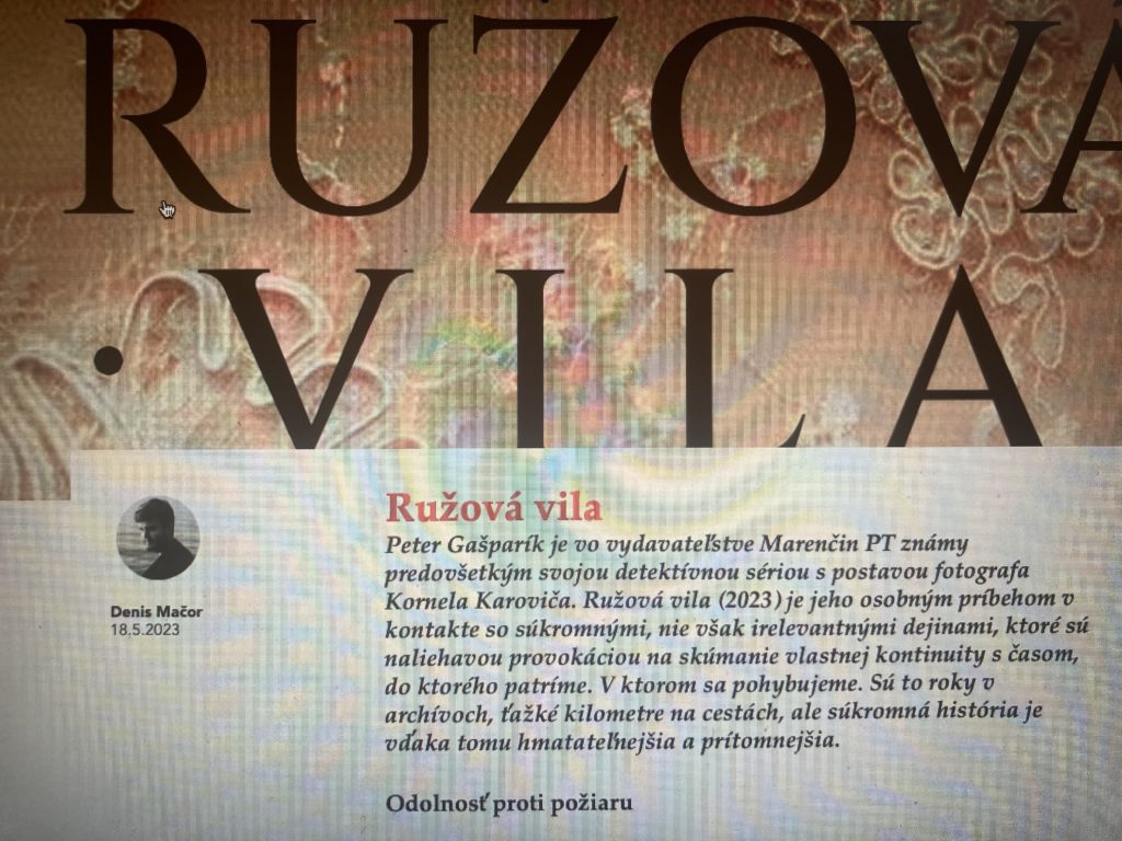 Recenzia román Ružová vila